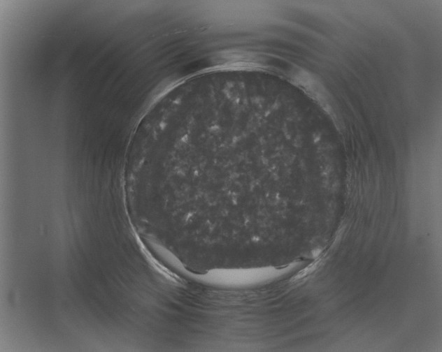 X0000071901425200608041331