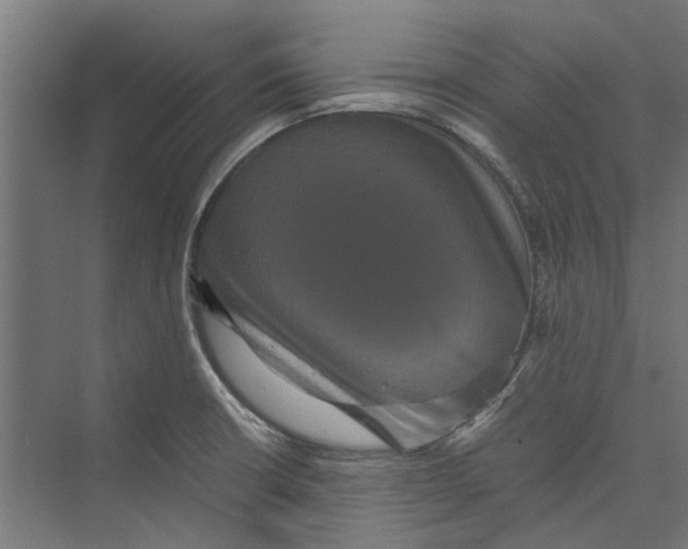 X0000071901426200608041331