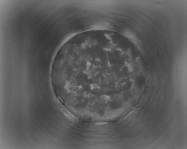 X0000071901427200608041331