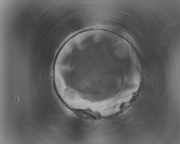 X0000071901428200608041331