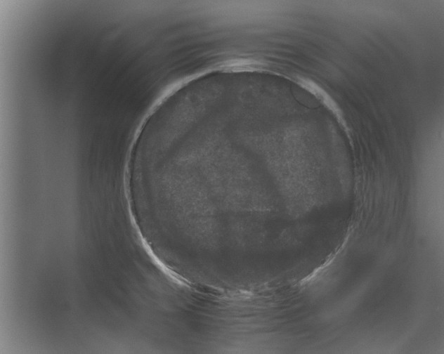 X0000071901429200608041331