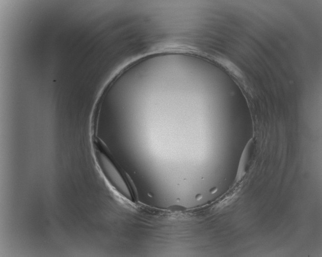 X0000071901430200608041331