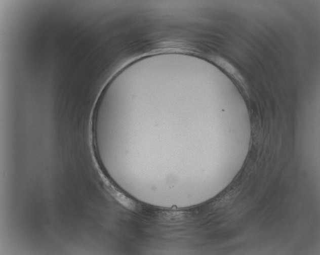 X0000071901431200608041331