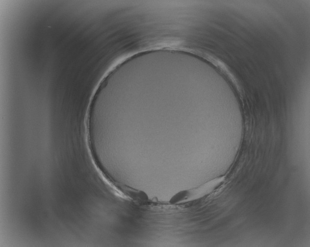 X0000071901432200608041331