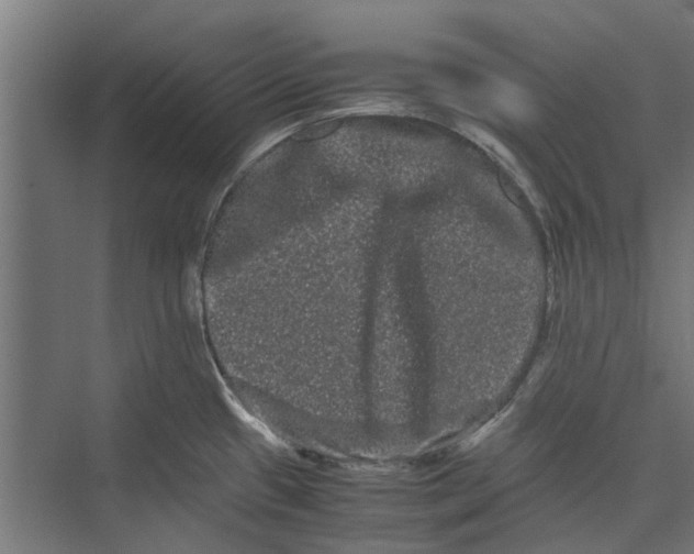 X0000071901433200608041331