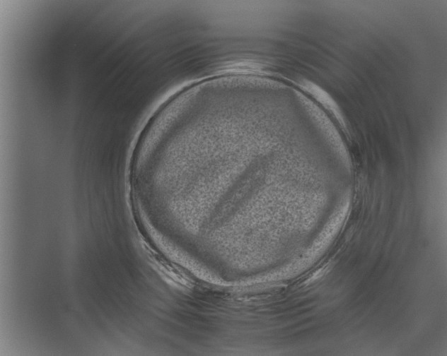 X0000071901435200608041331