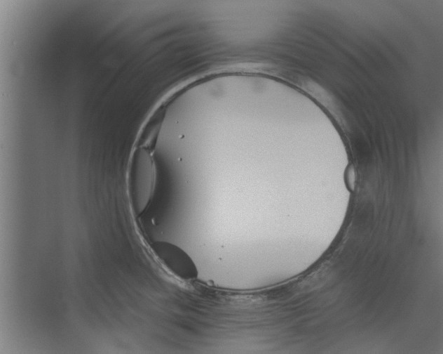 X0000071901436200608041331