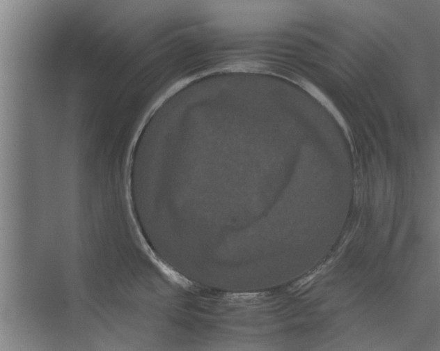 X0000071901437200608041331