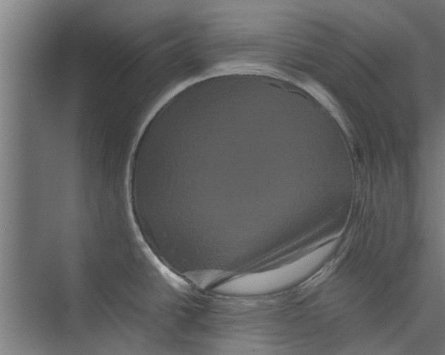 X0000071901438200608041331