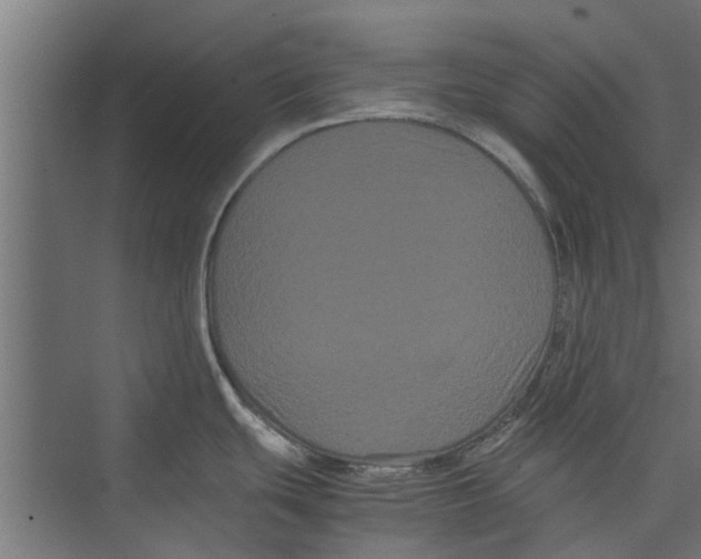 X0000071901439200608041331