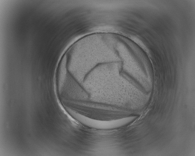 X0000071901440200608041331