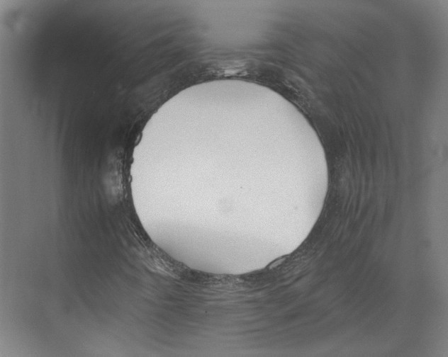 X0000071901442200608041330