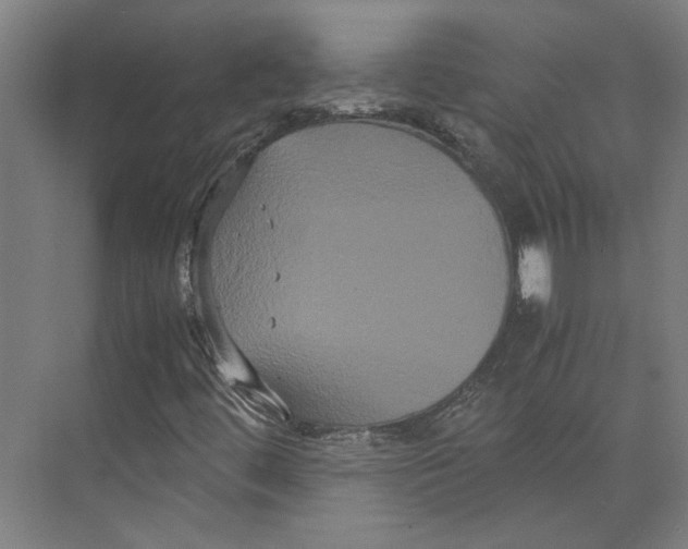 X0000071901444200608041330