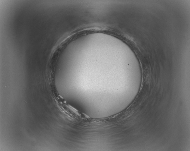 X0000071901448200608041330