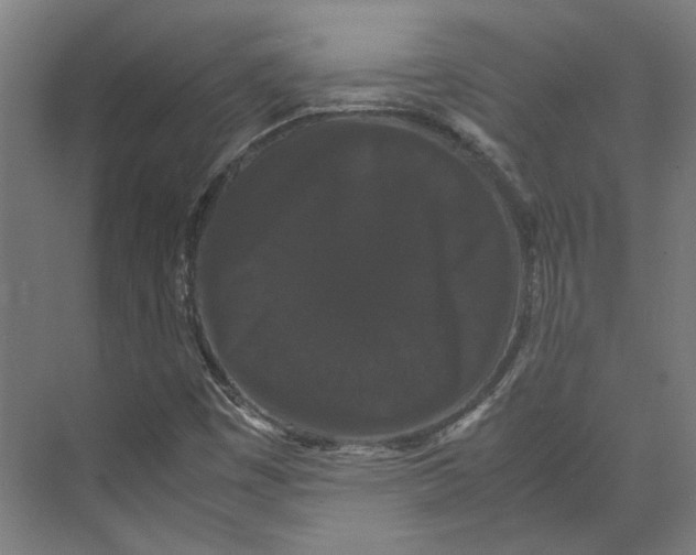 X0000071901449200608041330