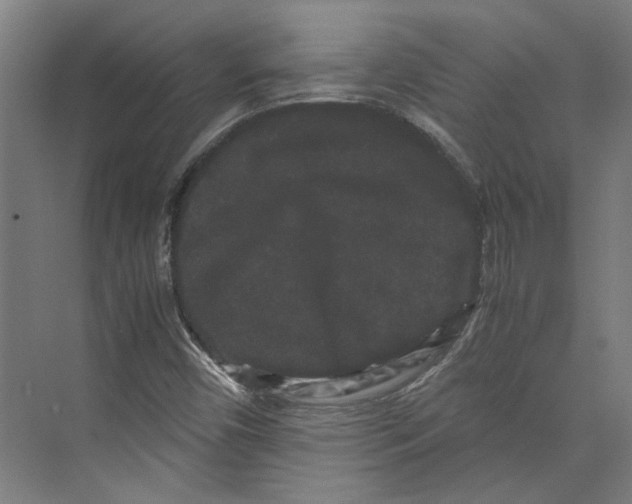 X0000071901450200608041330