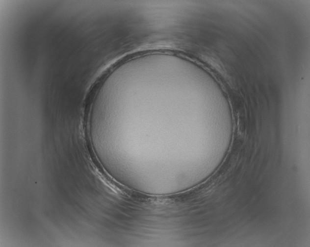 X0000071901452200608041330