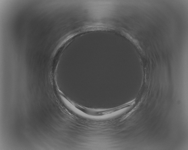 X0000071901453200608041330