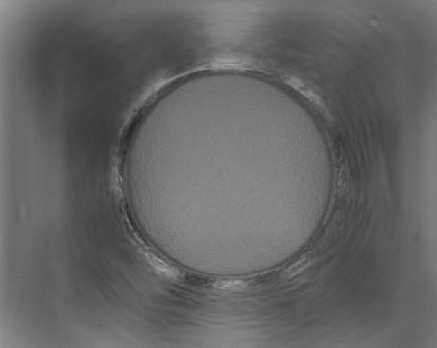 X0000071901454200608041330