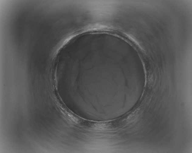 X0000071901455200608041330