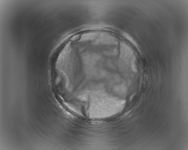 X0000071901456200608041330