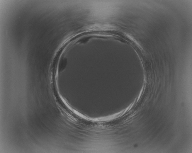 X0000071901459200608041330