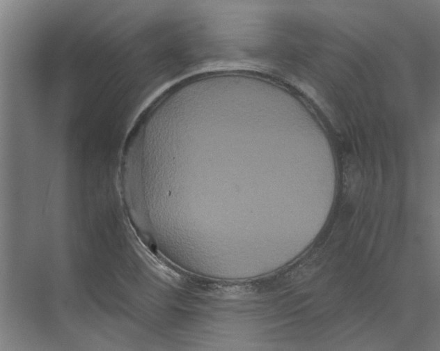 X0000071901460200608041330