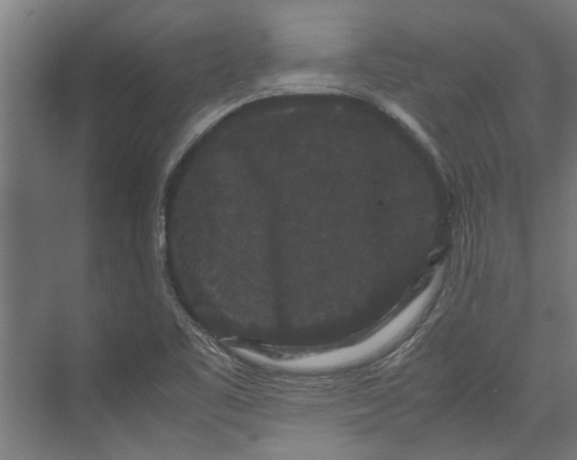 X0000071901461200608041330