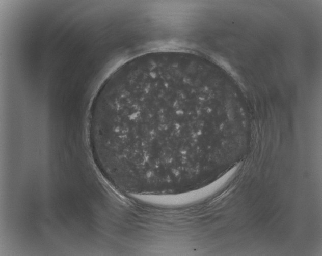 X0000071901463200608041330