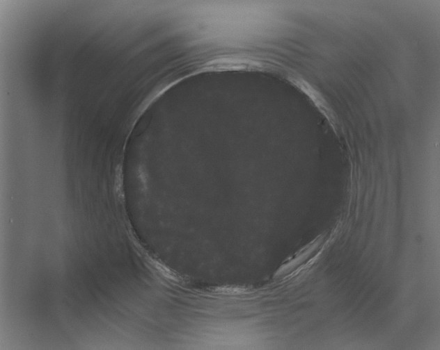 X0000071901465200608041330