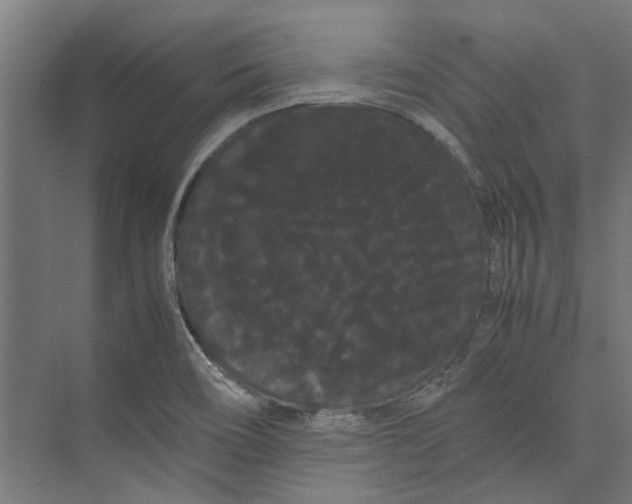 X0000071901466200608041330