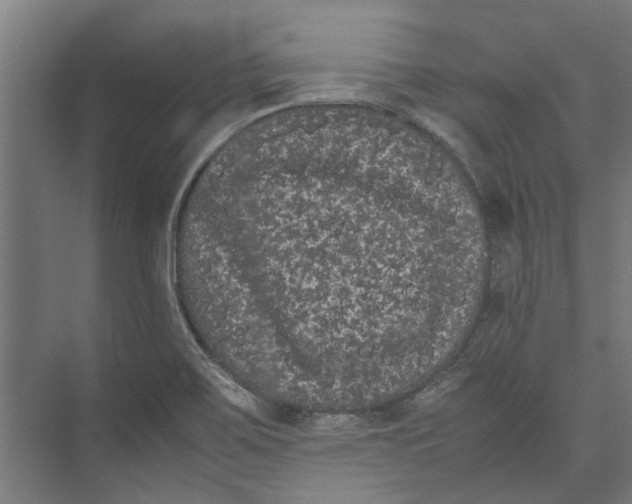 X0000071901467200608041330