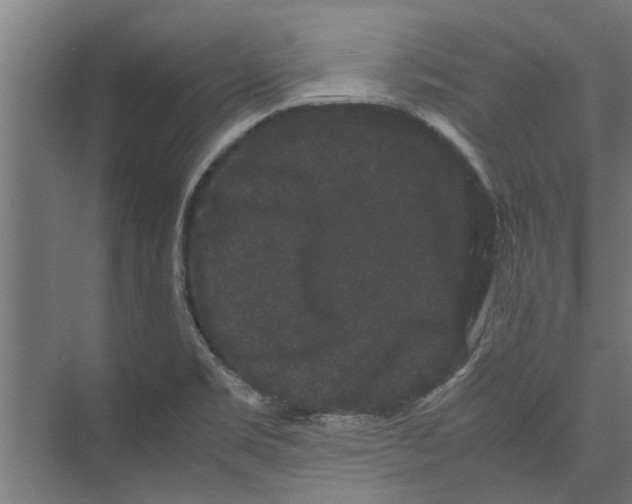 X0000071901469200608041330