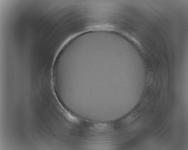 X0000071901470200608041330