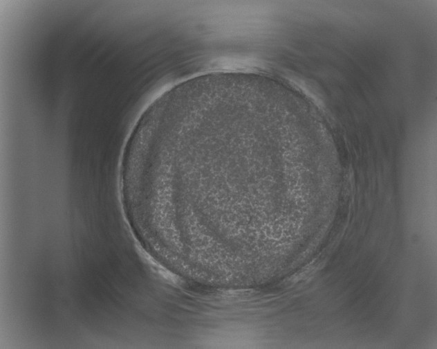 X0000071901471200608041330