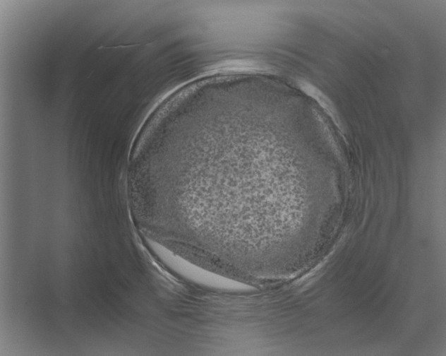 X0000071901473200608041330