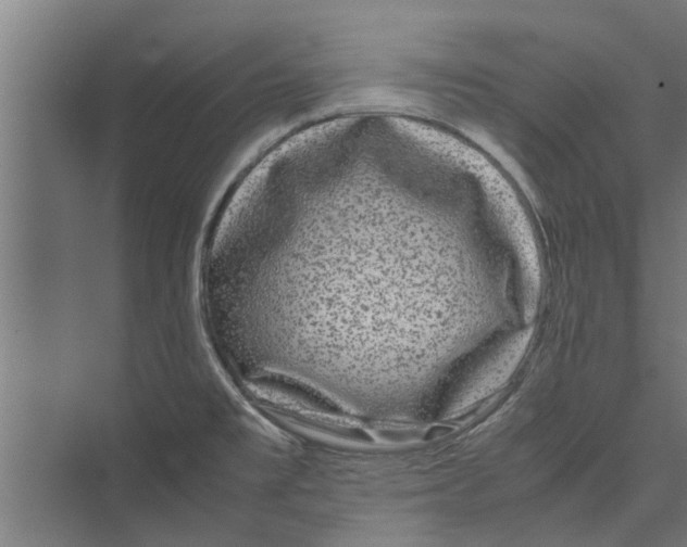 X0000071901477200608041330