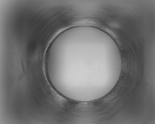 X0000071901478200608041330