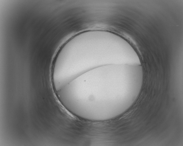 X0000071901480200608041330