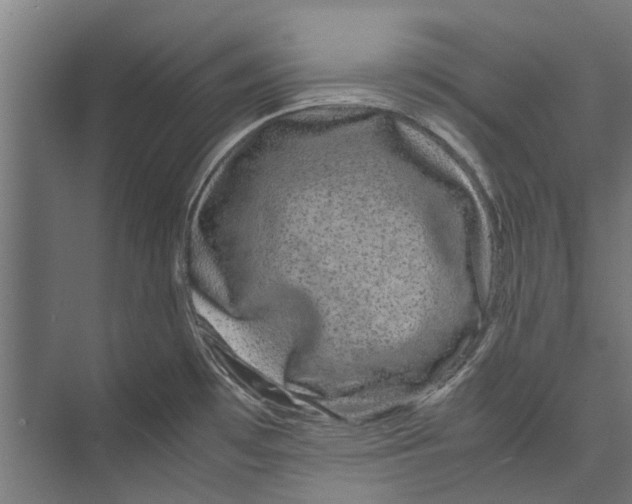 X0000071901481200608041330