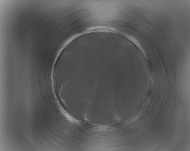 X0000071901482200608041330