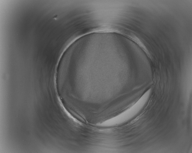 X0000071901484200608041330