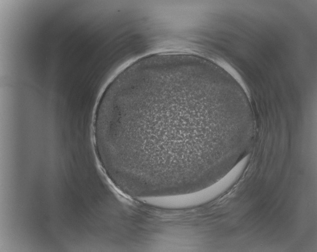 X0000071901485200608041330