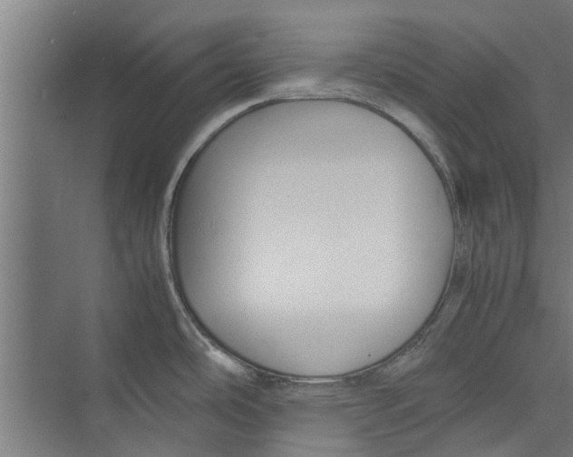 X0000071901486200608041330