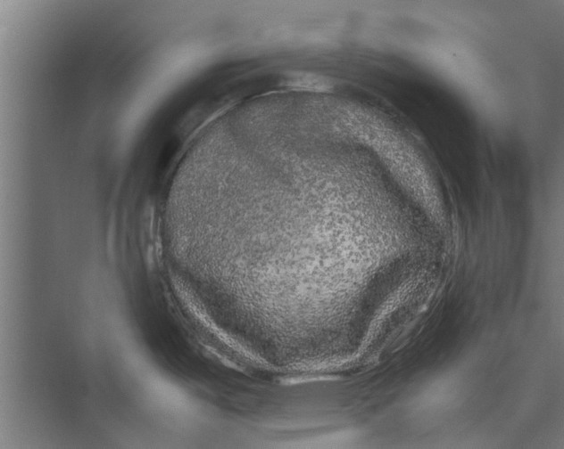 X0000071901487200608041330