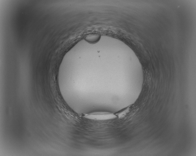 X0000071901489200608041329