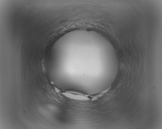 X0000071901490200608041329