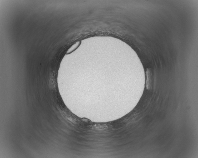 X0000071901491200608041329