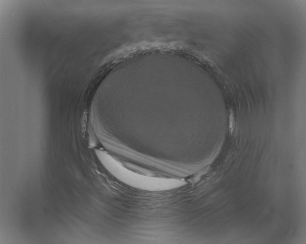 X0000071901492200608041329