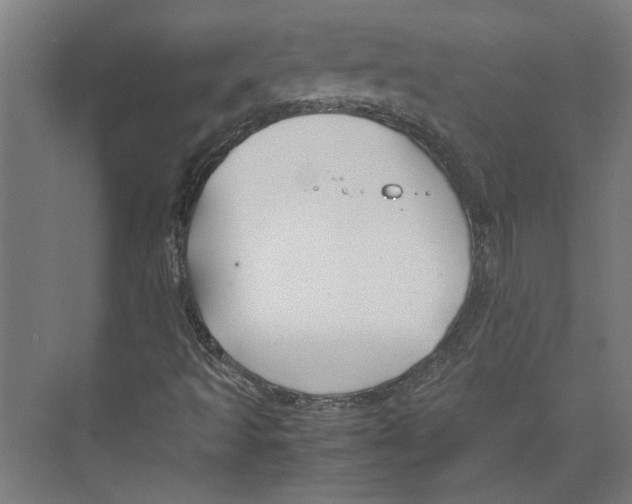 X0000071901493200608041329